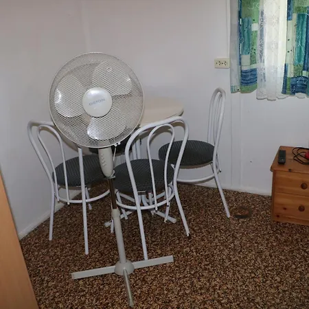 Tulipan * Gyenesdiás