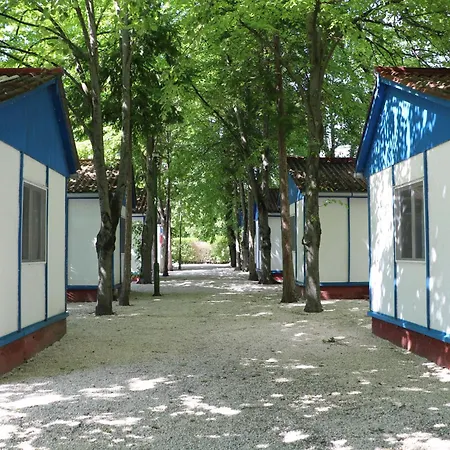 Κάμπινγκ Tulipan *