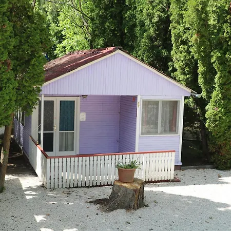 Tulipan * Gyenesdiás