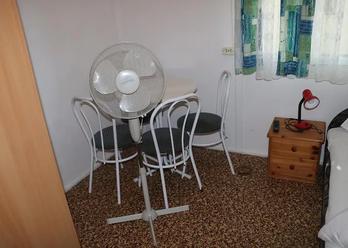 Tulipan * Gyenesdiás