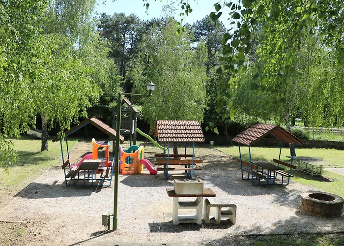 Tulipan * Gyenesdiás