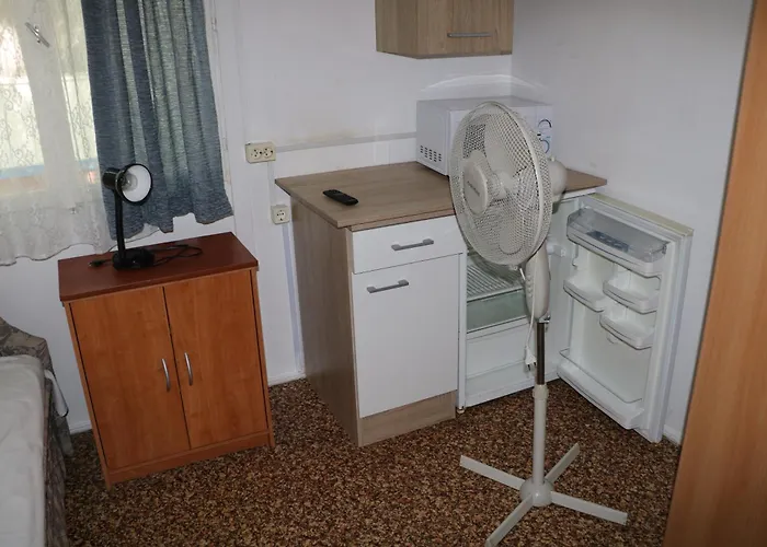 Tulipan * Gyenesdiás