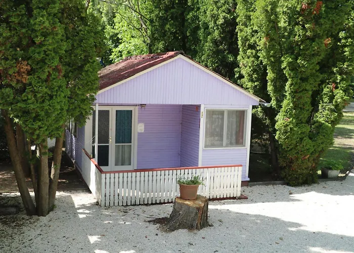 Tulipan * Gyenesdiás