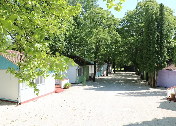 Tulipan